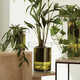 Chic Staggered Planters Image 2