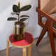 Chic Staggered Planters Image 4