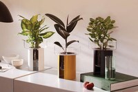 Chic Staggered Planters Image 6