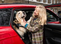 Dog-Friendly Driving Playlists Image 2