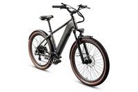 Comfort-Centric Starter E-Bikes Image 2
