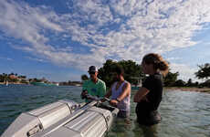 Handlebar-Toting Hydrofoil Boards