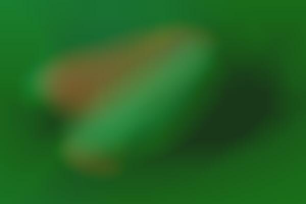 Vibrant Green Lifestyle Sneakers