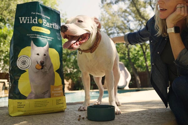 Plant-Powered Kibbles