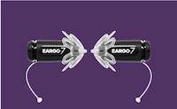 Self-Fitting Hearing Aids
