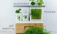 Modular Automated Indoor Planters