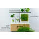Modular Automated Indoor Planters Image 1