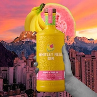 Tropically Flavored Gin Spirits Image 1