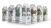 Dino-Themed Water Cartons