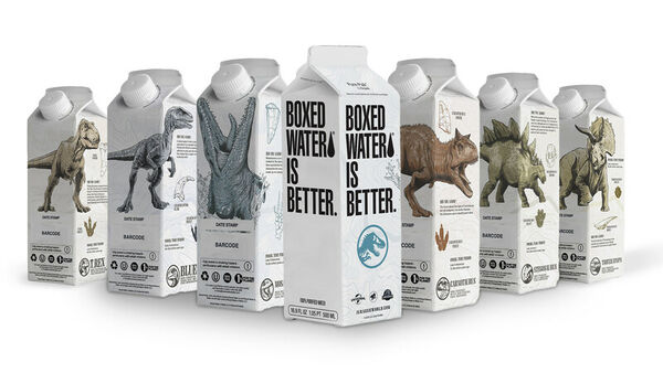Dino-Themed Water Cartons