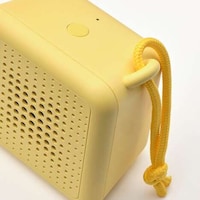 Low-Cost Shower-Friendly Speakers Image 5