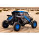 Purpose-Built Desert Race Vehicles Image 3