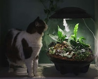 Compact Microclimate Terrariums Image 1