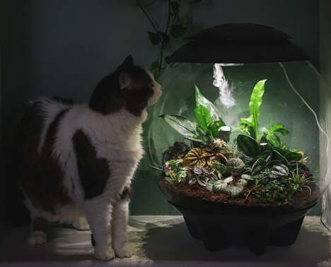 Compact Microclimate Terrariums