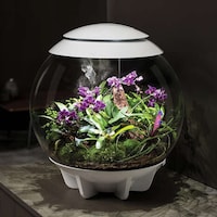 Compact Microclimate Terrariums Image 2