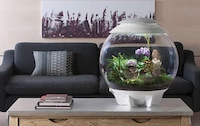 Compact Microclimate Terrariums Image 3
