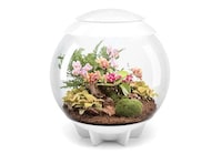 Compact Microclimate Terrariums Image 4