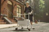 Pet-Carrying Walking Aids Image 5