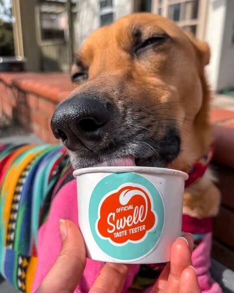 Dog-Friendly Gelatos