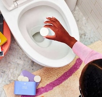 Sustainable Toilet Cleaning Kits Image 4