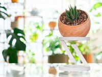 Illusory Planter Stands Image 6