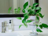 Illusory Planter Stands Image 7