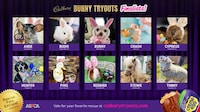 Easter Cat Mascots Image 5