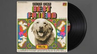 Adoptable Playlists Pet Ads Image 1