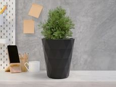 Single-Use Plastic Plant Pots Article Thubnail