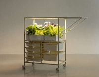 Smart Indoor Hydroponics Gardens Image 3