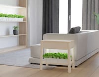 Smart Indoor Hydroponics Gardens Image 4