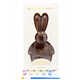 Painterly Chocolate Bunny Kits Image 1