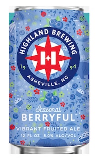 Blueberry-Based Fruited Ales