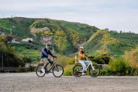 Eco Leisure Cruiser eBikes