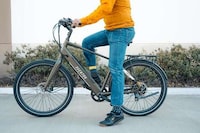 Eco Leisure Cruiser eBikes Image 2