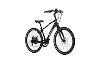 Eco Leisure Cruiser eBikes Image 5