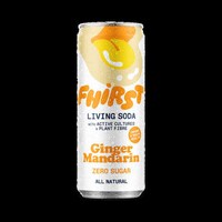 All-Natural Living Sodas Image 3