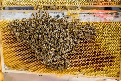 Thermoregulating Robotic Beehives
