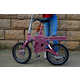 Compact Collapsible Bikes Image 1