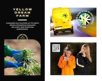 Direct-to-Consumer Cannabis Delivery Apps