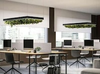 Garden-Filled Ceiling Lights
