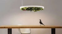 Garden-Filled Ceiling Lights Image 2