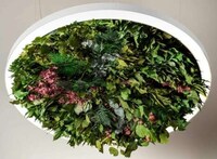 Garden-Filled Ceiling Lights Image 4