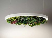 Garden-Filled Ceiling Lights Image 5