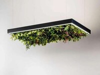 Garden-Filled Ceiling Lights Image 6