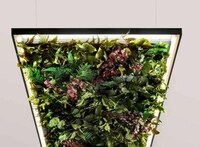 Garden-Filled Ceiling Lights Image 7