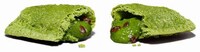 Premium QSR Matcha Pies Image 2