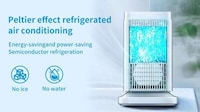 Personal Peltier Effect Coolers