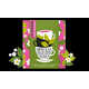 Organic Tea Gift Boxes Image 2