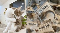 Eclectic Cat-Specific Stores Image 3